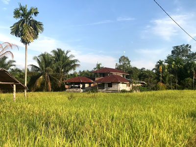 Home in the rice fields.