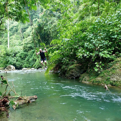 Tarzan swing for the big kids.