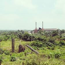 Oil palm refinery on the road to Tangkahan