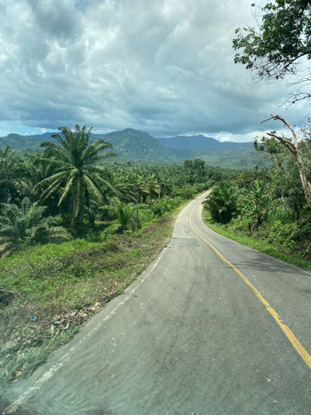 The road to South Aceh