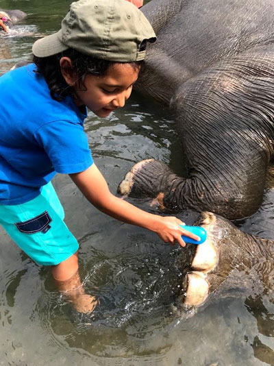 Have you ever scrubbed an elephants toe nails?