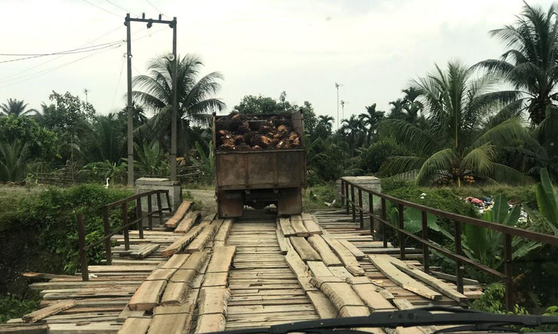 Oil palm being transported to the refinery between Bukit Lawang and Tangkahan