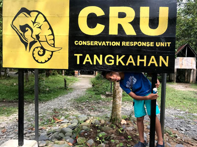 The Conservation Response Unit in Tangkahan cares for a herd of ex-working elephants