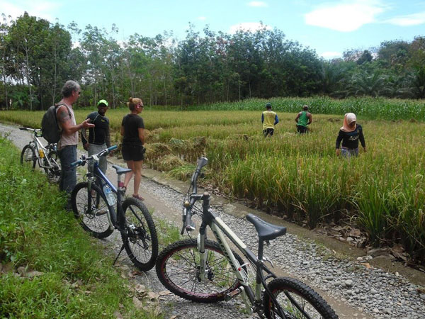 Join us for a bike ride through the village and get to see the real Sumatra.