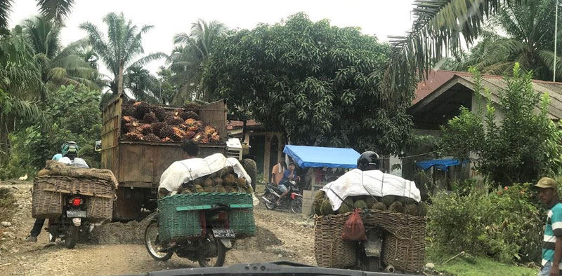 The road between Bukit Lawang and Tangkahan is one to remember