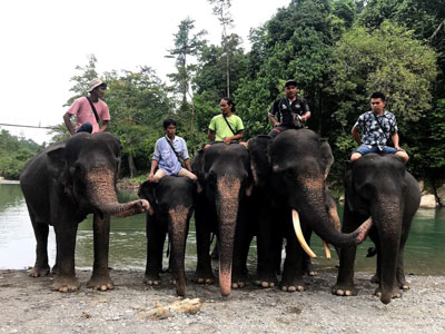 Elephant rangers at Tangkerhan.