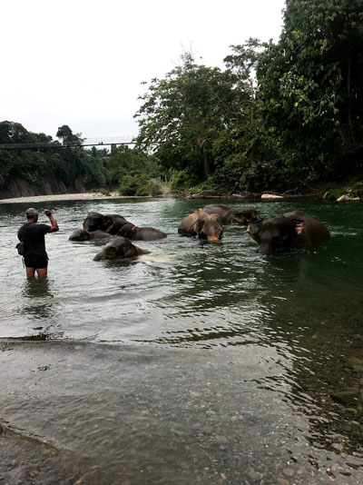 Bathe in the shallows with Earth’s most gentle giants.