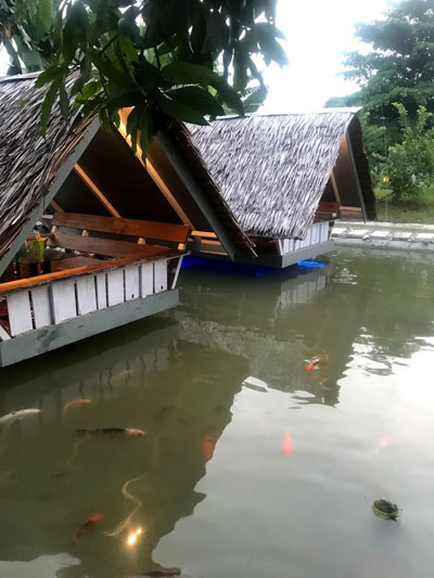 Local fish farm with café where you can enjoy your very own catch of the day.